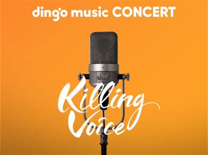 딩고 뮤직 / dingo music Youtuber overview