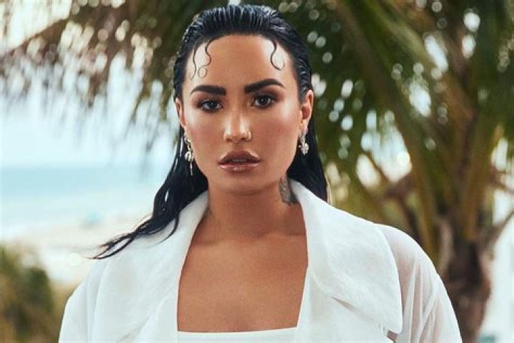 Does Demi Lovato Write Her Own Songs?