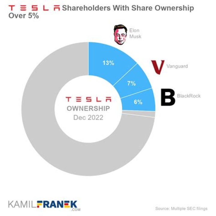 Does Elon Musk Own Tesla?