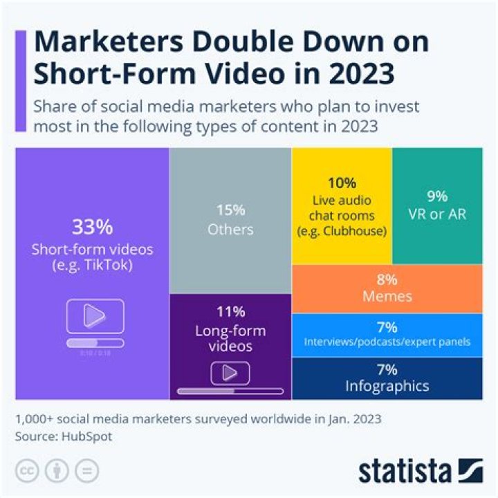 Pixel Dan video statistics