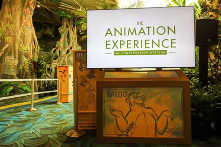 The Animation Experience At Conservation Station