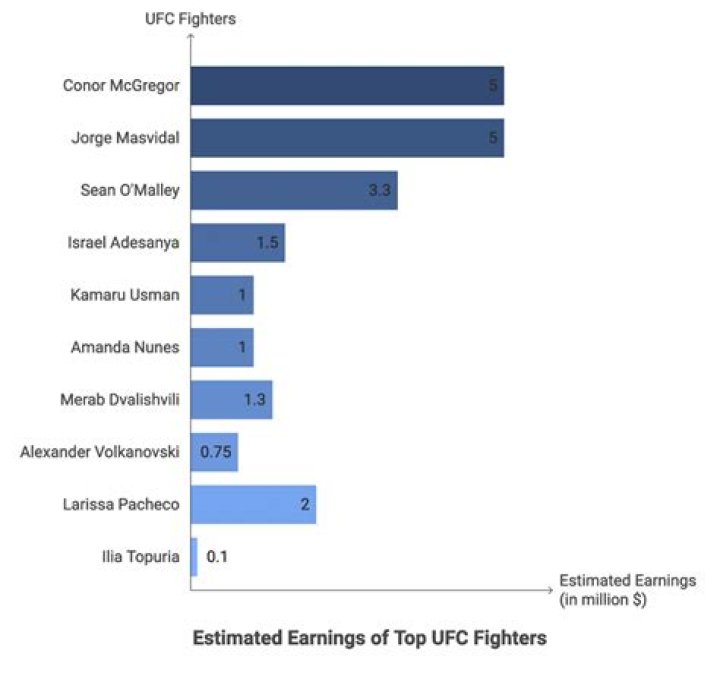 UFC net worth, income and estimated earnings of Youtuber channel